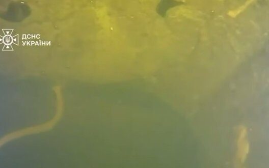 Героїчний порятунок ТЕС у Києві: водолази працюють під морозом