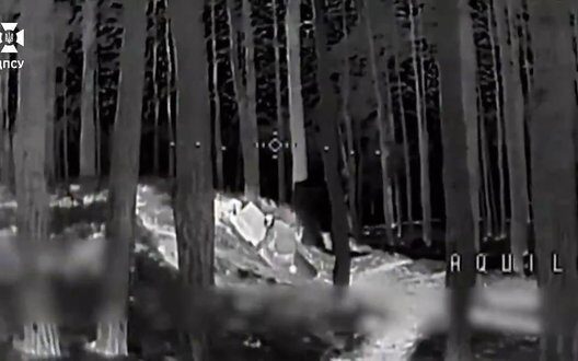 Українські дрони «Акула» вразили ворога точковими ударами на Курщині